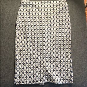 Zara Stretch High Waisted Skirt
